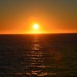 Cambria_2015_0190 (November 07, 2015)